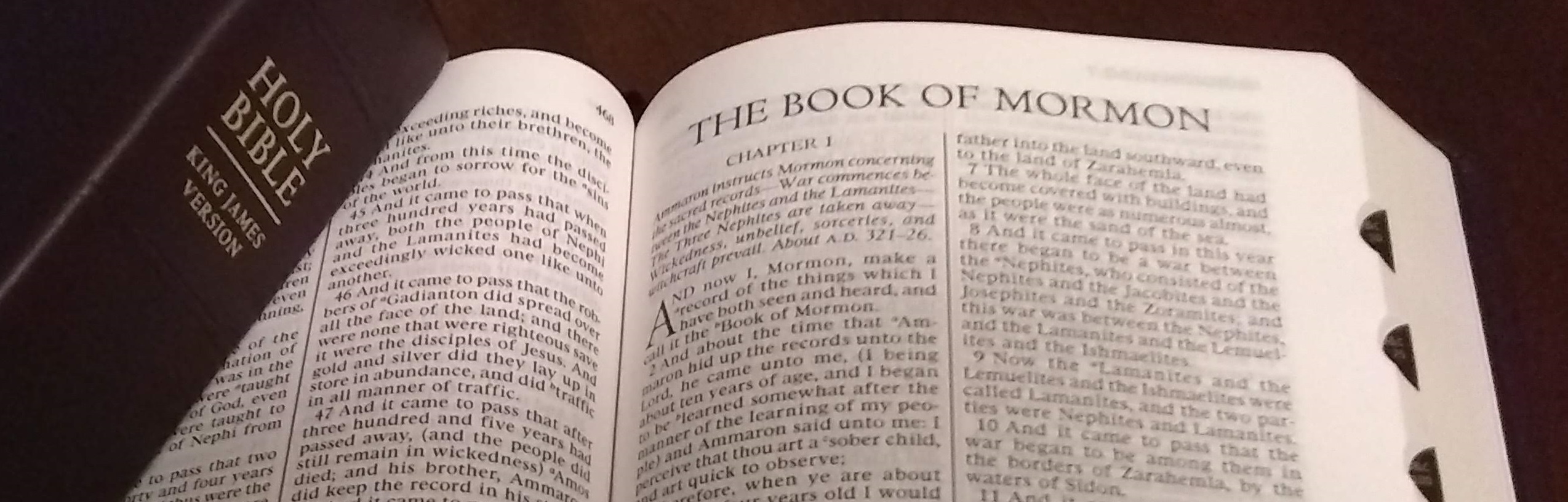 “The words of Christ will tell you all things what ye should do.” —2 Nephi 32:3 Photo of the Bible and the Book of Mormon